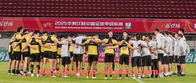 杏彩体育-英超水晶宫队球员身价排行及影响力分析