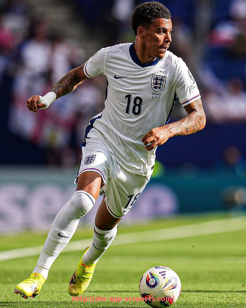 杏彩体育-世俱杯期间主办城市智能安检系统在重点场所的应用情况