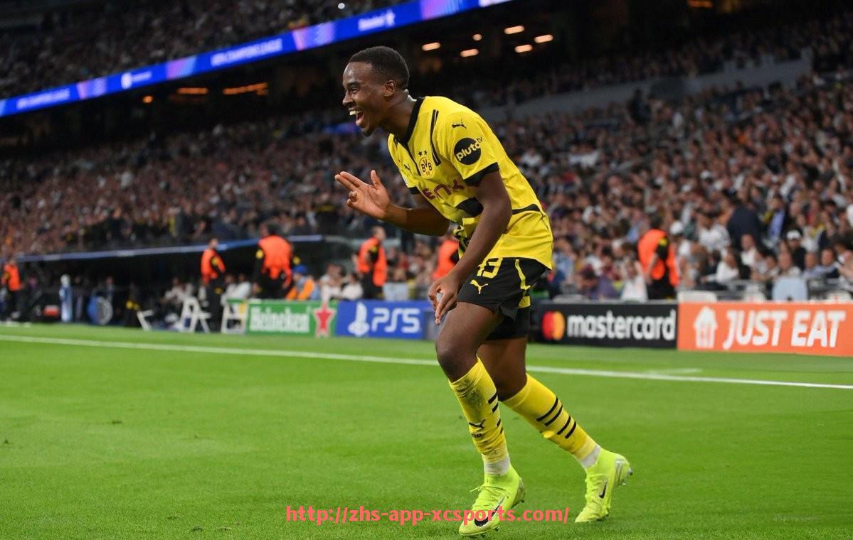 杏彩体育-2012-2013赛季火箭队季后赛回顾